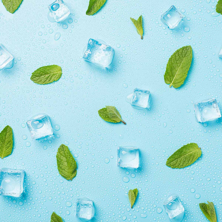 Disposable Vape UK Best Menthol Disposable Vapes In 2025: Coolest Picks For Fresh Hits | VAPE WAREHOUSE 0% Nicotine Menthol Vape Australia Disposable Vape UK Best Menthol Disposable Vapes In 2025: Coolest Picks For Fresh Hits | VAPE WAREHOUSE 0% Nicotine Menthol Vape Australia