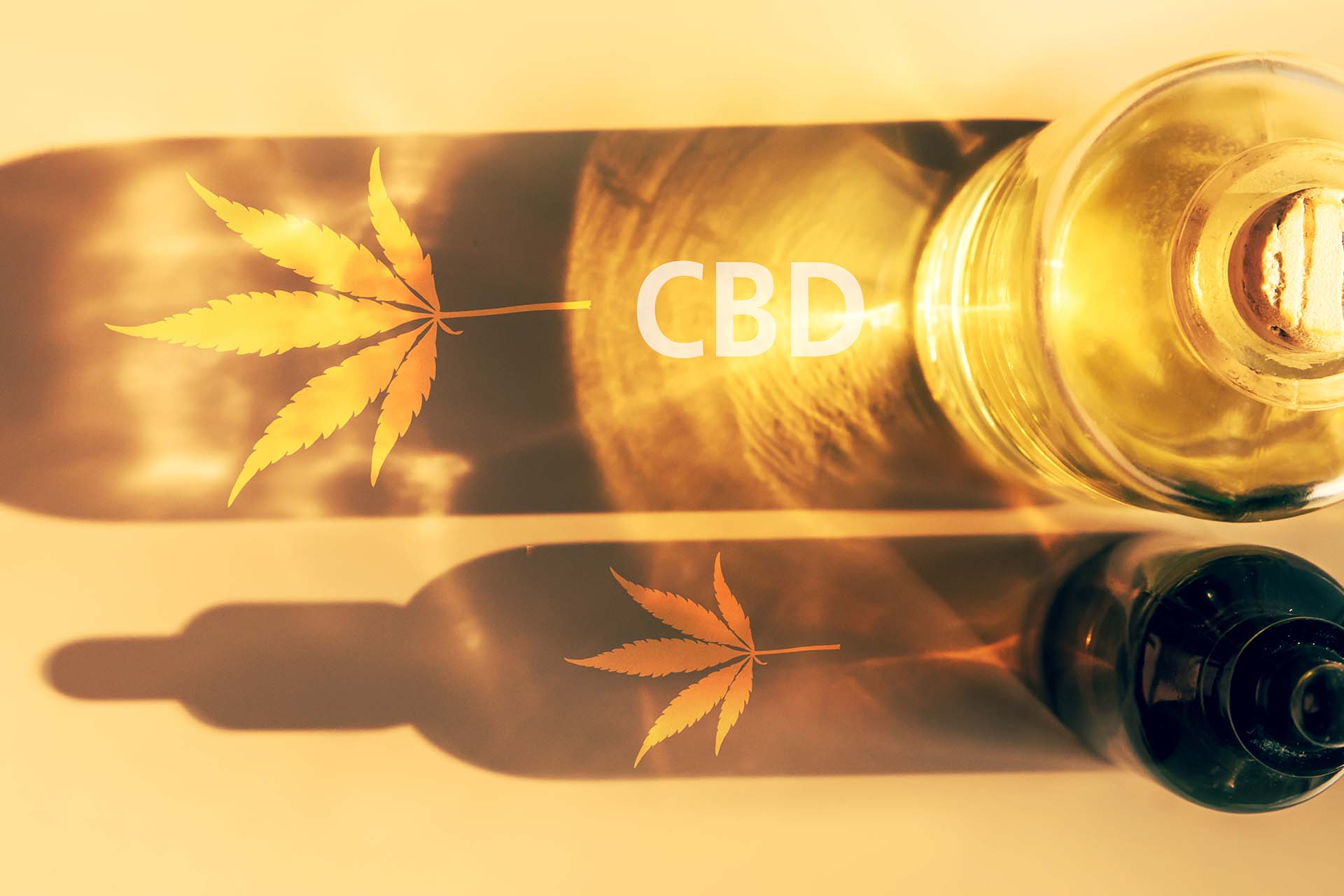 Your Top 6 Questions About CBD Answered (image)