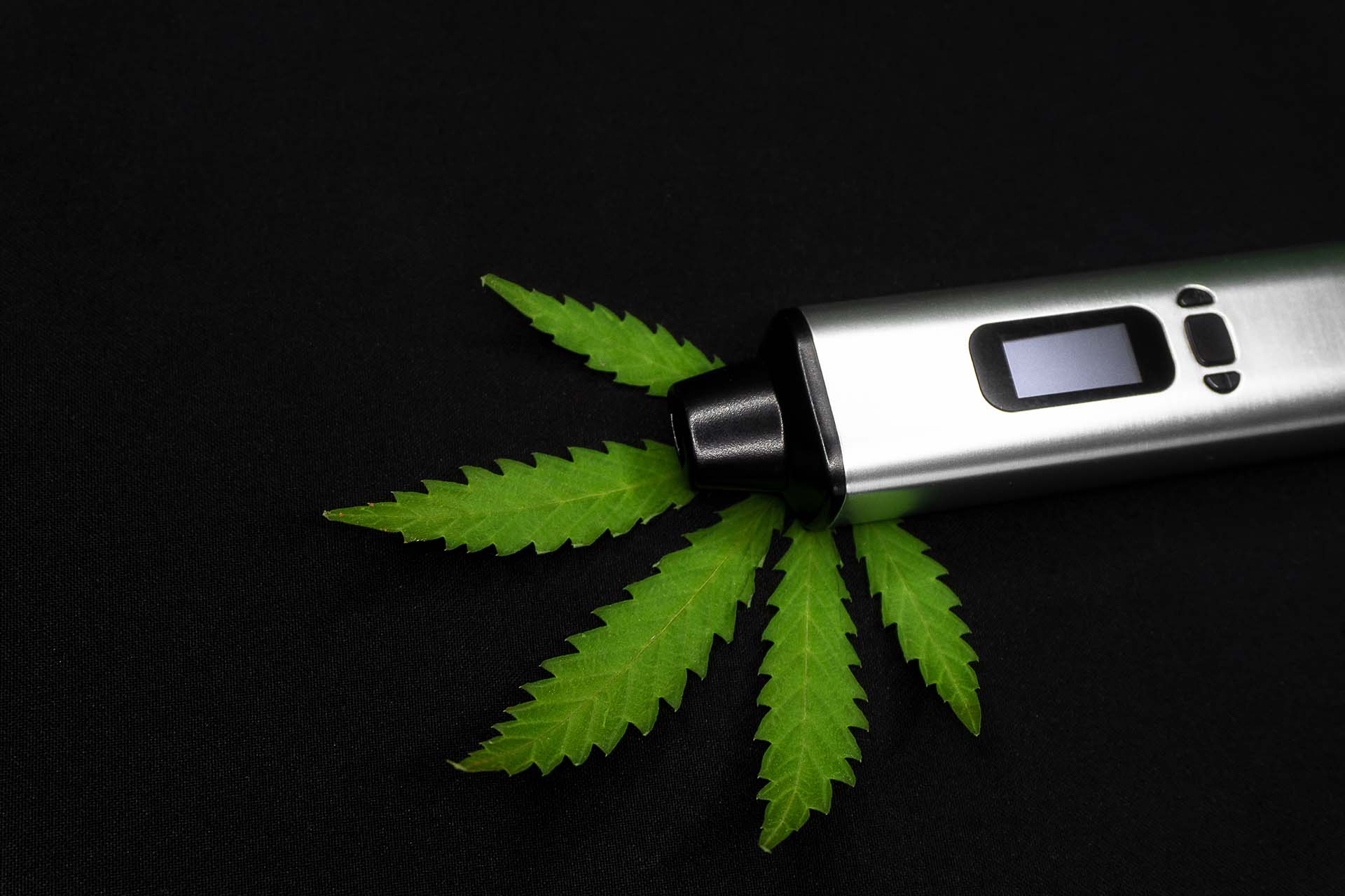 Electronic cigarette laying on a hemp leaf - CBD vape (image)