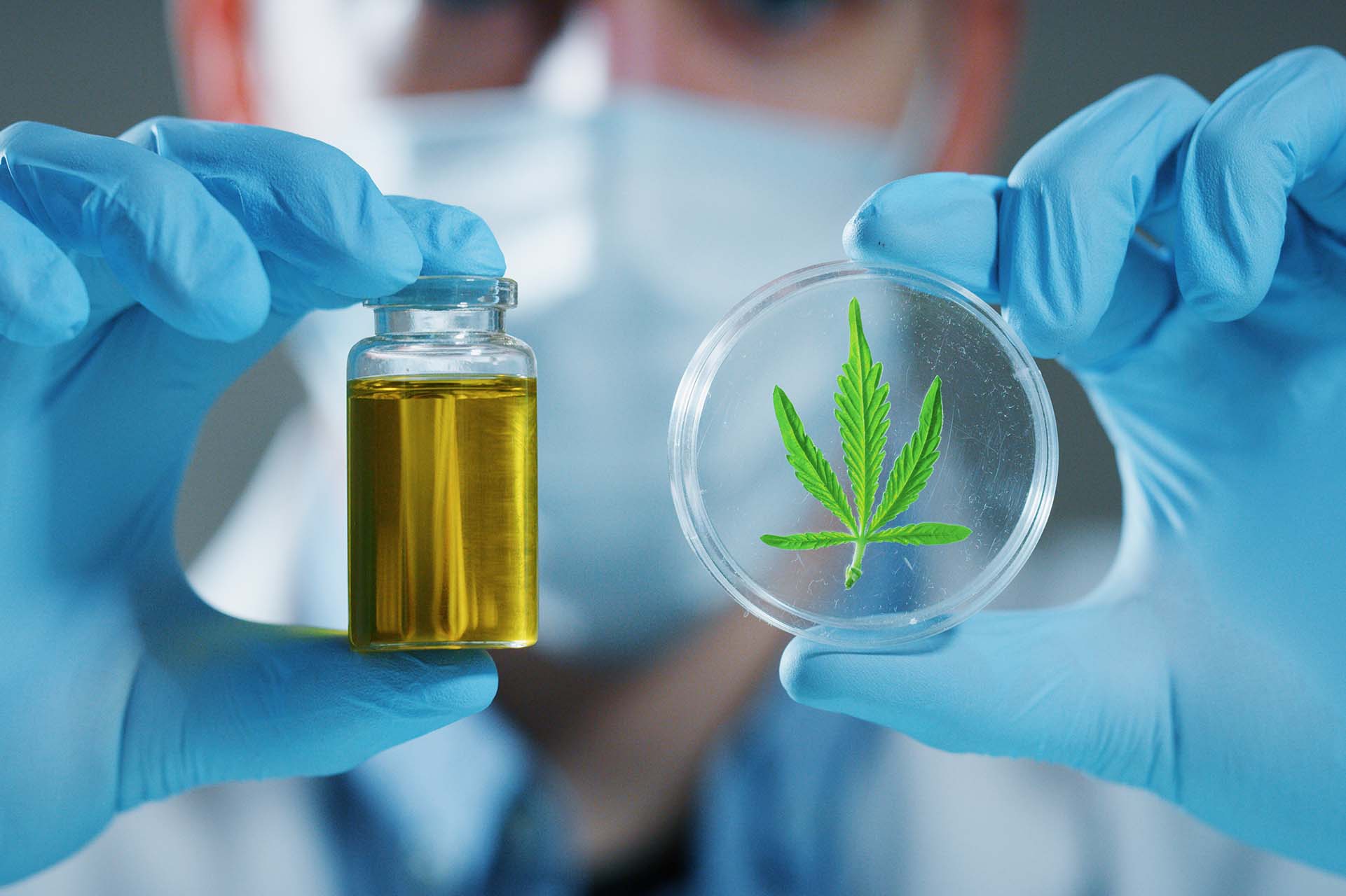 Man holding a bottle of E-Liquid and a petri dish with a hemp leaf (image)