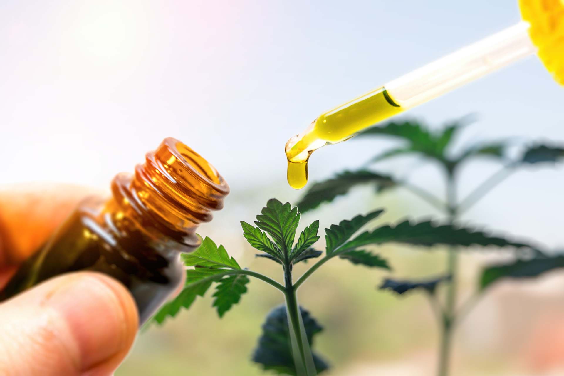 Bottle of CBD with full pipette of CBD oil (image)